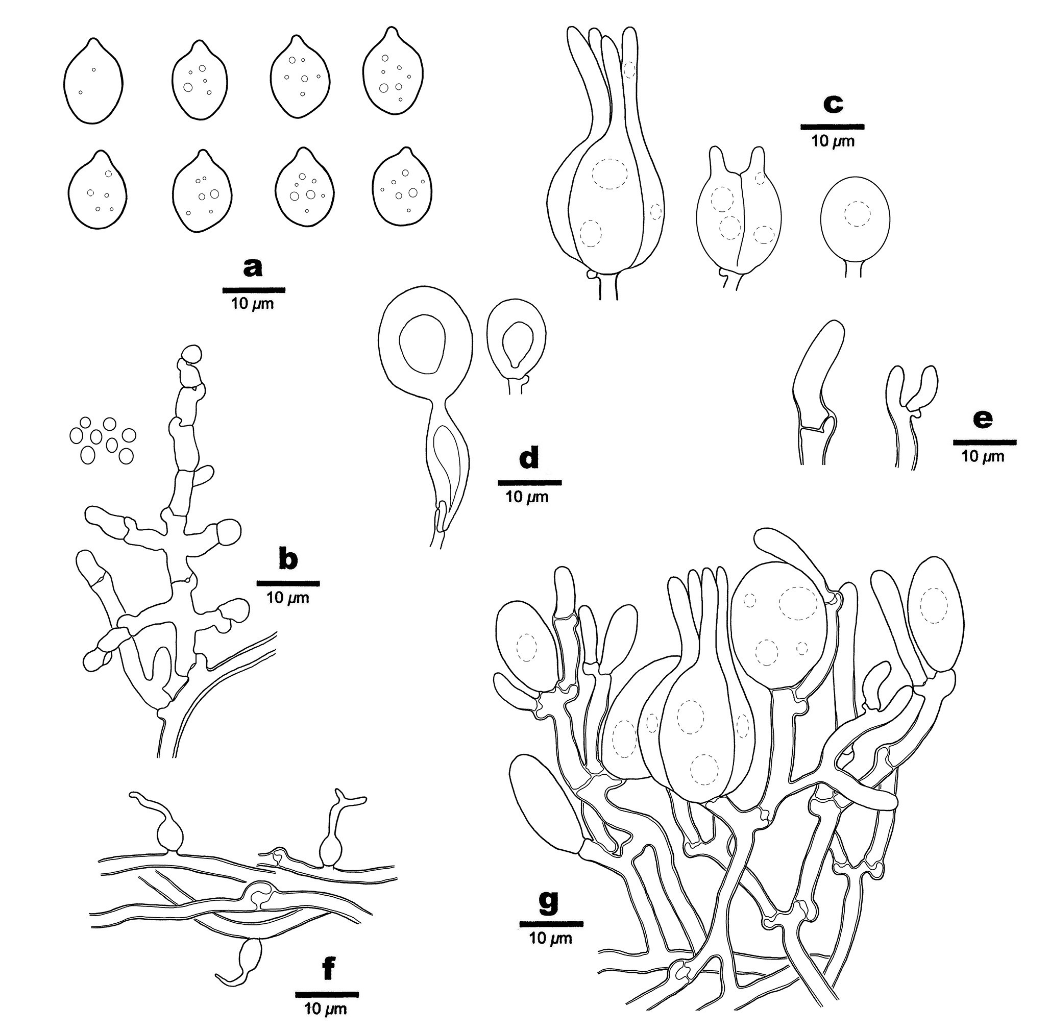 Figure 75